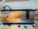 阔庭（KUOTING）鱼缸水族箱生态桌面鱼缸新款懒人鱼缸过滤制氧一体机黑色【大号】 实拍图