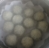 悦味纪 水晶薄皮素包子400g*2包 共24个 包子素馅 半成品早餐 速食面点 实拍图