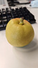 京鲜生 新疆特级库尔勒香梨 净重5斤单果120g以上 生鲜水果 实拍图