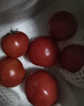 京地达栗贝诺山东普罗旺斯番茄西红柿 净重4.5斤 单果100g+蔬菜源头直发 实拍图
