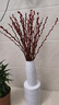 花行榜鲜枝年宵干花植物 60cm大红银柳30枝+白波浪瓶+10个挂件源头直发 实拍图