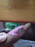 紫罗兰红薯沙地现挖紫薯宝宝辅食紫芋头山芋苕粗粮新鲜包邮 紫薯1斤中大果 实拍图