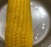 北纬47度水果玉米2.64斤(220g*6根)开袋即食鲜甜玉米棒 低脂低GI早餐苞米 实拍图