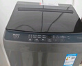 海尔（Haier）全自动波轮洗衣机8KG小型 家用宿舍出租房 家电国家补贴以旧换新京东自营XQB80-Z10D0 实拍图