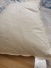 京东京造荞荞枕加大款 100%荞麦壳填充透气高度可调花草枕头单只装 实拍图