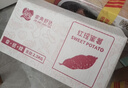 京鲜生&家美舒达 山东红瑶地瓜 烤薯冰糖蜜薯5斤推荐烤 出口级 新鲜蔬菜 实拍图