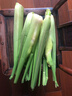 【现采现发】浙江新鲜茭白时令蔬菜带壳茭白高笋应季美食自种包邮 现采带壳茭白0.8-1斤 净重 实拍图