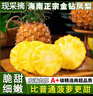 十里馋海南金钻凤梨当季水果手撕菠萝香水新鲜小菠萝整箱批发 2枚优选装 净重2.5-3斤 实拍图