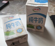 伊利纯牛奶 250ml*16盒 全脂牛奶 礼盒装 10月底产 实拍图
