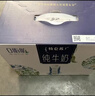 蒙牛特仑苏纯牛奶250ml*16盒 家庭早餐 年货礼盒 实拍图