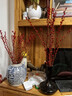 九月生银柳真花30支年宵花干花礼盒新年装饰摆件鲜切室内花卉60cm不含瓶 实拍图