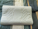 水星家纺93%乳胶枕头特拉雷工艺乳胶枕芯A类抑菌蚕丝枕套可水洗枕头·蓝 实拍图