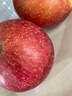 京鲜生 陕西洛川苹果红富士  净重5斤  单果200g+ 生鲜水果 实拍图