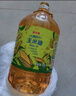 金龙鱼 食用油 非转基因 物理压榨不油腻轻年玉米油4L 实拍图