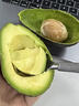 山姆大叔 金奖·哈斯牛油果云南孟连【闪送】鳄梨非即食新鲜水果礼盒年货 【80%选择】精品果丨约95-125g 6枚【热销* 超值推荐】普装 实拍图