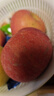 京鲜生 山东栖霞红富士苹果精品12粒 单果190g-240g  水果礼盒 实拍图