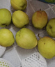 京鲜生 新疆库尔勒香梨 净重10斤 特级 单果120g以上 生鲜水果 实拍图