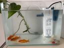 森森（SUNSUN）鱼缸过滤器内置净水增氧循环造浪四合一小型水族箱过滤系统 【二代升级】3W套餐二（滤材水管+替换棉） 实拍图