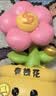 掼悦中高考祝福生日礼物女不焦虑放轻松桌面摆件治愈系送闺蜜伴手礼 有钱花摆件【赠贺卡】 乔迁之喜搬家礼物工艺品 实拍图