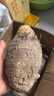 生鲜密语广西荔浦芋头 地标农产品 粉面香芋 根茎类新鲜蔬菜 生鲜火锅食材 4.5斤净重4.4斤 (3-5个） 实拍图