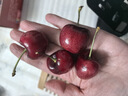 京鲜生 智利车厘子超级巨无霸4J 5斤礼盒果径32-34mm 年货礼盒 送卡尺 实拍图