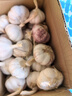 京鲜生河南杞县大蒜带皮新鲜干蒜净重5斤单果4.5-5cm  源头直发 实拍图