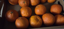 京鲜生 四川爱媛38号果冻橙 净重8斤 单果190g起 生鲜水果橘桔年货 实拍图