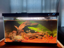 米家（MIJIA）小米米家智能生态鱼缸+画法几何配套加热棒 实拍图