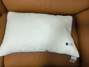 京东京造 不怕头油大白枕 A类抗菌纤维柔软颈椎枕家用成人枕头枕芯 单枕 实拍图