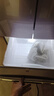 格力晶弘332升法式多门家用一级变频冰箱 -33°深冻储鲜  玻璃面板 风冷无霜超薄电冰箱【官方正品】 BCD-332WPQG/霞光紫 玻璃面板 一级能效-33°深冻 实拍图