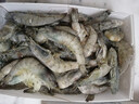 虾有虾途国产青岛大虾白虾青虾基围虾鲜虾冷冻生鲜虾类活冻特大海捕整箱装 16-18厘米特大号 3.6斤(净重) 实拍图