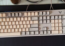 雷柏（Rapoo）V500PRO米灰升级款 104键有线背光机械键盘 PBT双色键帽电脑办公游戏全键无冲可编程键盘 红轴 实拍图