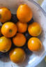 融安冰糖脆蜜金柑大果400g 单果25g+  实拍图