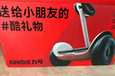九号（Ninebot）电动平衡车代步电动车腿控智能礼物双轮腿控体感L6白色定制礼盒款 实拍图