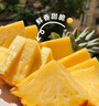 佳农 黑钻菠萝1粒装 菲律宾凤梨 净重2斤起 生鲜水果 源头直发 包邮 实拍图