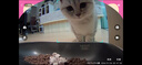 小佩宠物智能自动喂食器猫咪饮水机 猫粮狗粮远程控制自动定时定量 可视双子星喂食器 2+饮水机MAX 2 实拍图