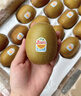 佳沛（zespri）意大利  阳光金奇异果10粒礼盒巨大果单果约144-175g 年货礼盒 实拍图