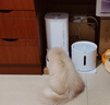小佩宠物智能饮水机SOLO 2象牙白 猫咪饮水机狗狗喝水猫狗碗 无线水泵 实拍图