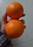 京觅江西赣南脐橙4.5斤净重橙子单果170g年货纽荷尔甜橙水果源头直发 实拍图