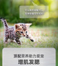 Orijen渴望猫粮 幼猫粮 全价通用低敏无谷高蛋白进口85g（试吃装）26/12 实拍图