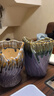 仟尚亿多肉花盆陶瓷个性简约室内植物创意粗陶花盆栽花盆透气大口径组合 QL高贵紫缺口组合2个 中等 实拍图