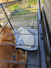 腆宠狗笼 狗笼子大型犬中型犬小型犬带厕所加粗狗窝家用宠物笼子围栏 实拍图