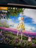 Apple苹果平板电脑 ipad Pro 24/22/21/20款 11英寸娱乐平板电脑二手平板 ipadpro2022 11寸 128GWiFi版 99成新 实拍图