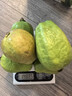 京觅福建红心芭乐 番石榴 应季 低糖孕妇水果 单果150g 净重3斤装 实拍图