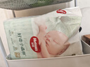 好奇（Huggies）小森林纸尿裤NB66片(5kg以下)尿不湿心钻【透氧顶配更低敏】 实拍图