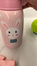 杯具熊（BEDDYBEAR）四叶草儿童保温杯四盖三用吸管水杯316不锈钢学生杯子630ML可爱兔 实拍图