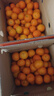 京鲜生 砂糖橘/沙糖桔 净重8斤精品果 生鲜水果年货礼盒 实拍图
