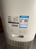 东芝（TOSHIBA）空气净化器SE大白梨PET除烟味除毛净化器大风量除尘净化器除螨除尘除过敏源消毒杀菌家用 实拍图