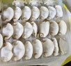 湾仔码头荠菜猪肉水饺1320g66只早餐食品速食面点生鲜速冻饺子年货送礼 实拍图