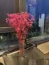 匠心绽放满天星干花永生花束节日礼物实用客厅装饰天然风干真花蓝色20276 实拍图